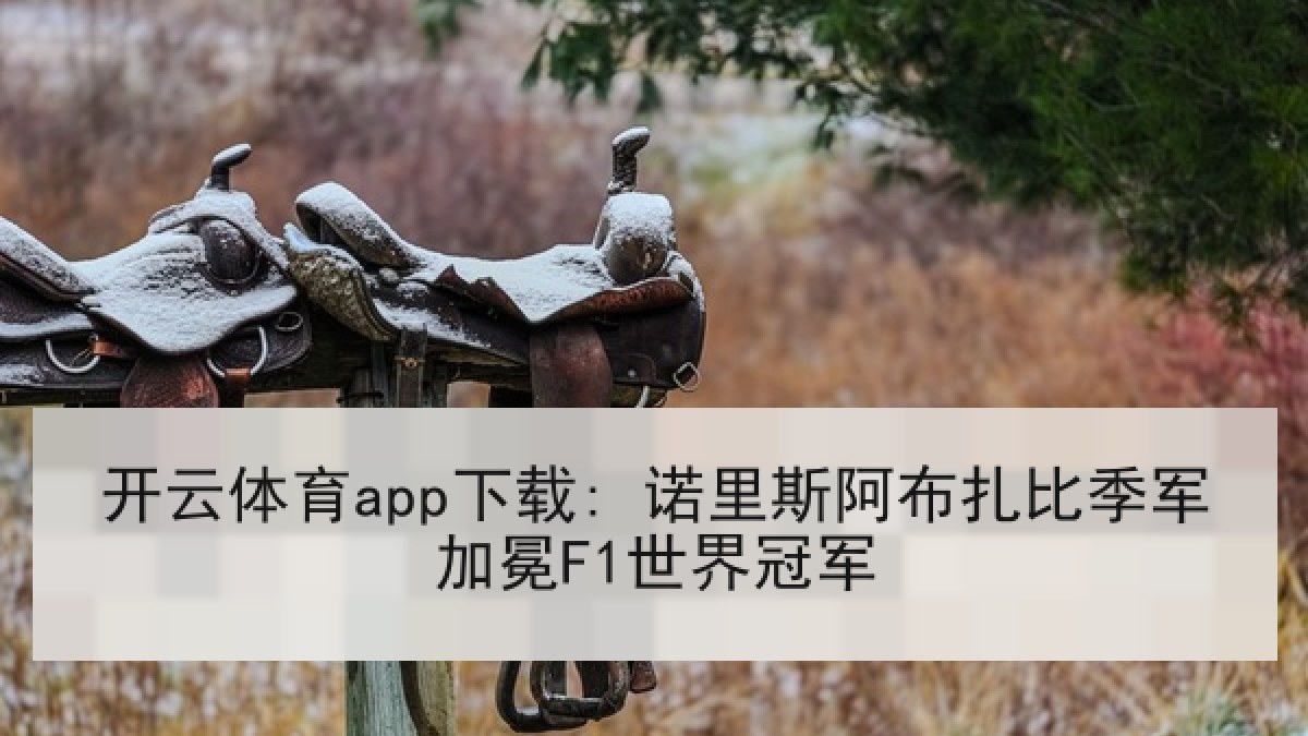开云体育app下载: 诺里斯阿布扎比季军加冕F1世界冠军 开云体育app下载: 诺里斯阿布扎比季军加冕F1世界冠军