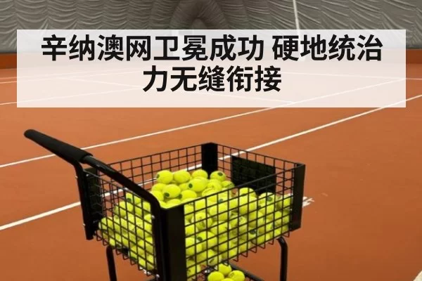 辛纳澳网卫冕成功 硬地统治力无缝衔接